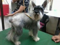 /album/fotos/julian-jpg/