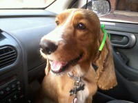 /album/fotos/img-20121110-wa0001-jpg/