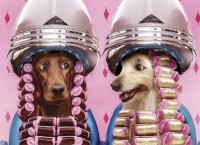 /album/fotos/ruleros-jpg/